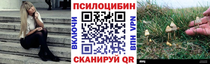 сайты даркнета телеграм  Иркутск  Галлюциногенные грибы Cubensis 